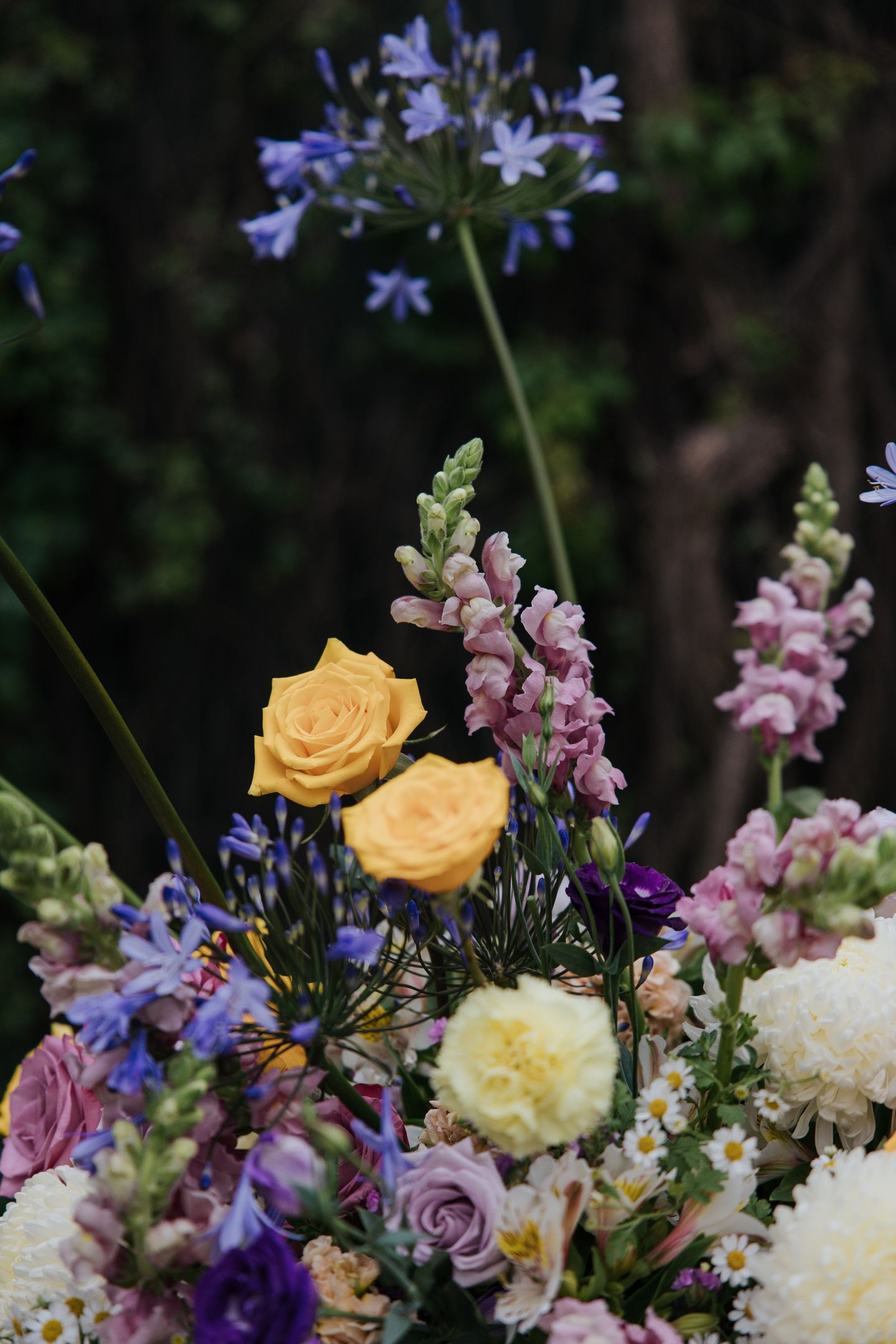 Romantic Garden